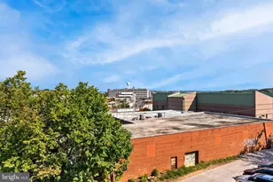 966 Mt Olivet Rd NE, Washington, DC 20002 - Photo 17