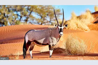 1915 Benning Rd Road NE #8 (THIRD FLOOR), Washington, DC 20002 - Photo 9