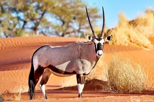 1915 Benning Rd Road NE, Washington, DC 20002 - Photo 9