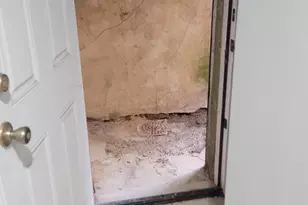 419 Oneida Pl NW, Washington, DC 20011 - Photo 43