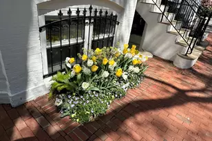 522 NW 21st Street NW, Washington, DC 20006 - Photo 25