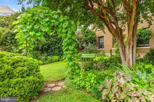 1101 L St NW, Washington, DC 20005 - Photo 3