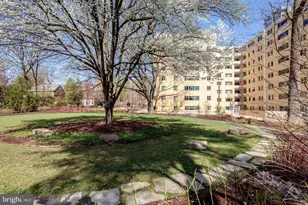 4600 Connecticut Ave NW, Washington, DC 20008 - Photo 19