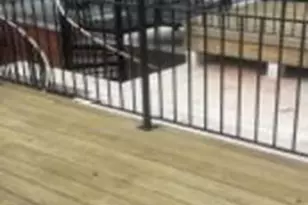 2503 Burns St SE, Washington, DC 20020 - Photo 11