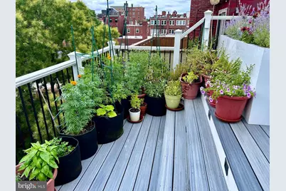 1808 Riggs Place NW, Washington, DC 20009 - Photo 41