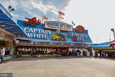 1435 4th Street SW #B512, Washington, DC 20024 - Photo 5