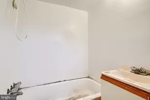 537 42nd St NE, Washington, DC 20019 - Photo 43