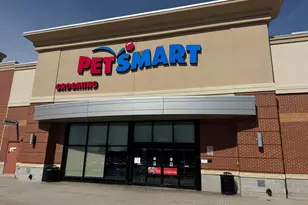 2538 Baldwin Cres NE, Washington, DC 20018 - Photo 35