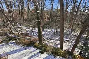 4944 Quebec St NW, Washington, DC 20016 - Photo 35