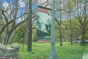 2901 Newark St NW, Washington, DC 20008 - Photo 45