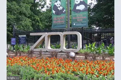 2907 Newark St NW, Washington, DC 20008 - Photo 35