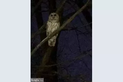 3871 Porter Street NW #E293, Washington, DC 20016 - Photo 31