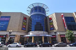 1731 Willard St NW, Washington, DC 20009 - Photo 43