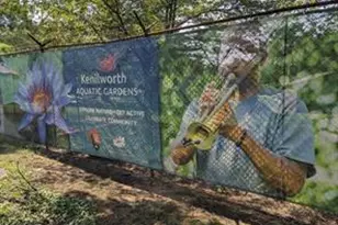 5220 Blaine St NE, Washington, DC 20019 - Photo 43