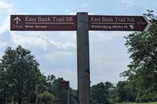 5220 Blaine St NE, Washington, DC 20019 - Photo 63