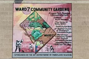 5220 Blaine St NE, Washington, DC 20019 - Photo 55