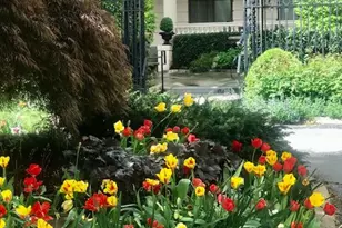 2153 California St NW, Washington, DC 20008 - Photo 3