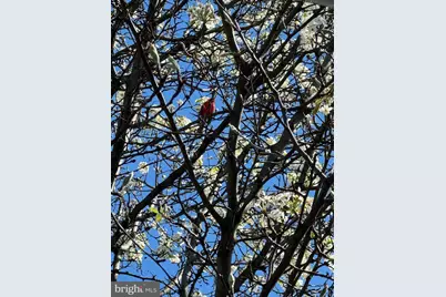 2422 2nd Street NE, Washington, DC 20002 - Photo 27