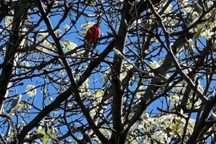 2422 2nd St NE, Washington, DC 20002 - Photo 27