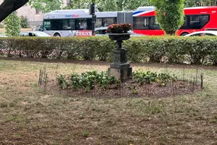 3420 16th St NW, Washington, DC 20010 - Photo 3