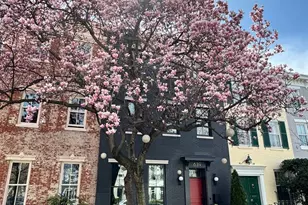 639 E St SE, Washington, DC 20003 - Photo 47