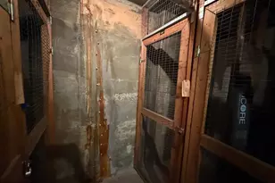 4000 Tunlaw Rd NW, Washington, DC 20007 - Photo 29