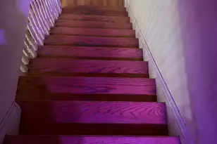 1328 Rittenhouse St NW, Washington, DC 20011 - Photo 7