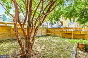 536 Peabody St NW, Washington, DC 20011 - Photo 13