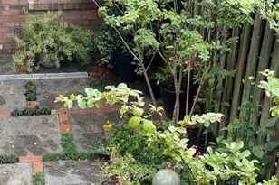 237 10th St SE, Washington, DC 20003 - Photo 37