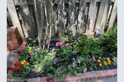 237 10th Street SE, Washington, DC 20003 - Photo 35