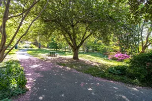 3417 Quesada St NW, Washington, DC 20015 - Photo 43