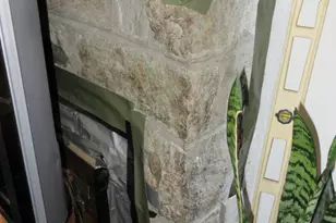 507 Oakwood St SE, Washington, DC 20032 - Photo 35