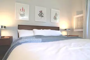 3137 Aberfoyle Pl NW, Washington, DC 20015 - Photo 63