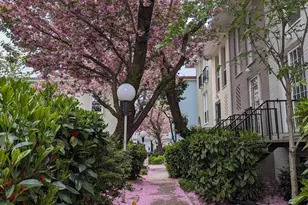 241 G St SW, Washington, DC 20024 - Photo 35