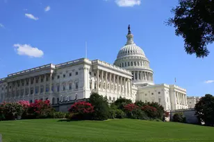 117 T St NW, Washington, DC 20001 - Photo 35