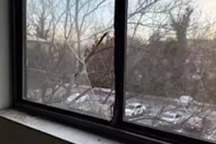 3107 Naylor Rd SE, Washington, DC 20020 - Photo 7