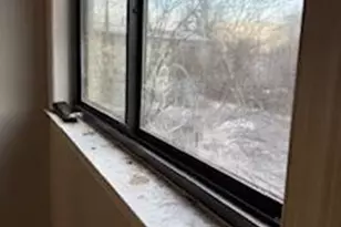 3107 Naylor Rd SE, Washington, DC 20020 - Photo 13