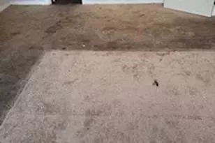 3107 Naylor Rd SE, Washington, DC 20020 - Photo 15