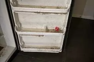 3107 Naylor Rd SE, Washington, DC 20020 - Photo 25