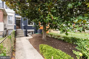 3524 11th St NW, Washington, DC 20010 - Photo 3