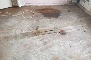 38 Sheridan St NE, Washington, DC 20011 - Photo 21