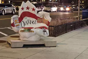 3326 12th St SE, Washington, DC 20032 - Photo 19