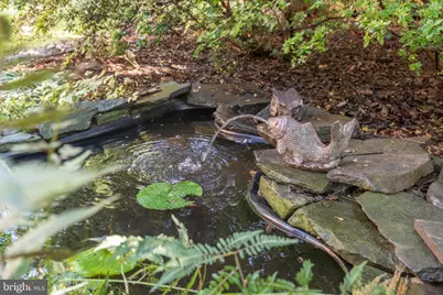 4920 Palisade Lane NW, Washington, DC 20016 - Photo 23