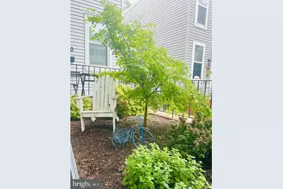 1520 Constitution Avenue NE, Washington, DC 20002 - Photo 5