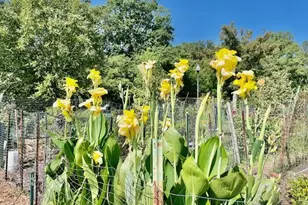 3770 39th St NW, Washington, DC 20016 - Photo 31