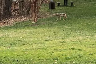 3770 39th St NW, Washington, DC 20016 - Photo 23