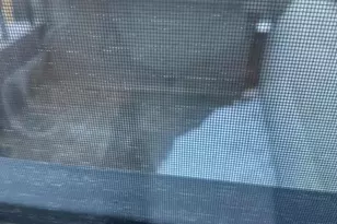 3525 14th St NW, Washington, DC 20010 - Photo 27