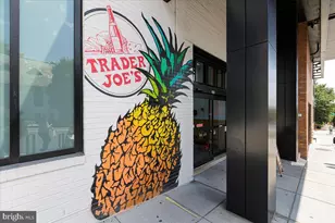 2325 42nd St NW, Washington, DC 20007 - Photo 25