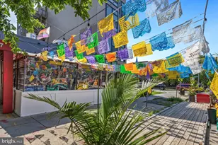 1380 Quincy St NW, Washington, DC 20011 - Photo 37