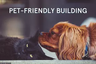 520 N St SW, Washington, DC 20024 - Photo 29